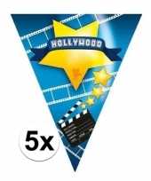 5x vlaggenlijnen hollywood 5 meter